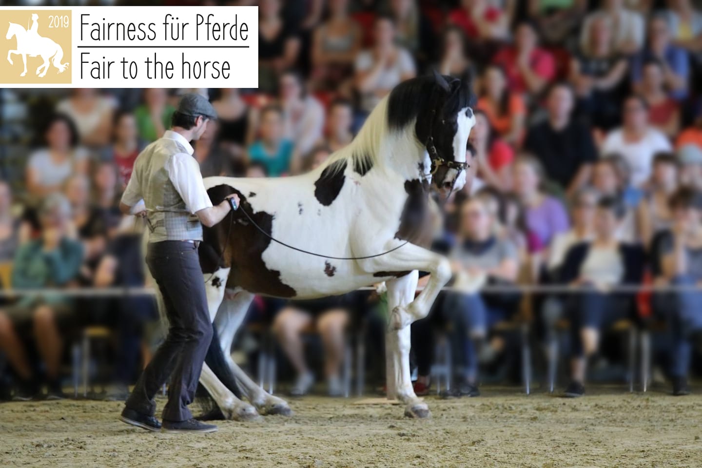 Fairness für Pferde/Fair to the Horses 31.5.-2.6.2019