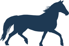 icon koně česky